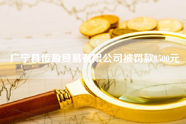 廣寧縣傳盈貿易有限公司被罰款8500元